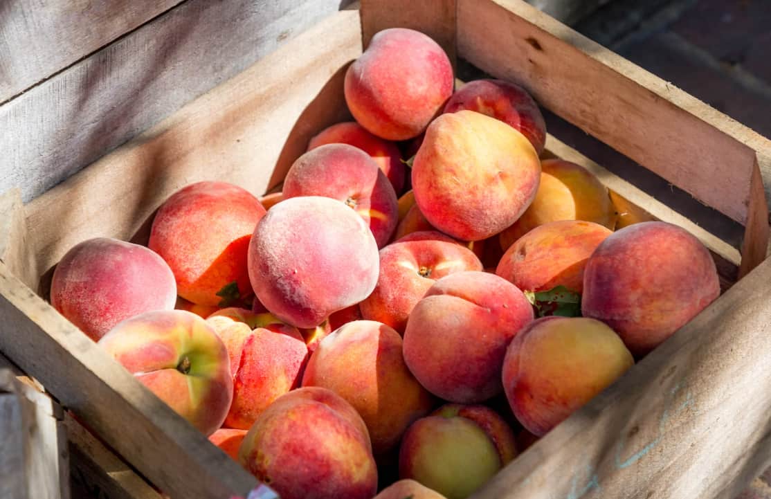 Freezing Peaches Without Blanching