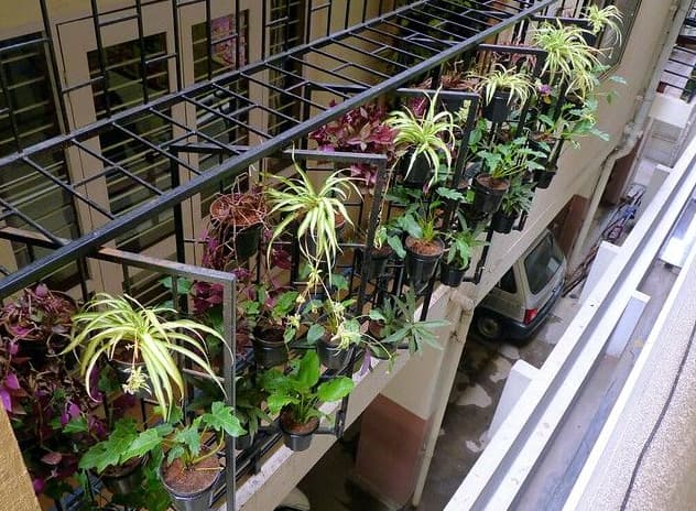 Plant-Adorned Railings for Balcony